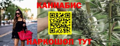 не бодяженный Гай