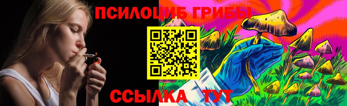 Галлюциногенные грибы мицелий Канск